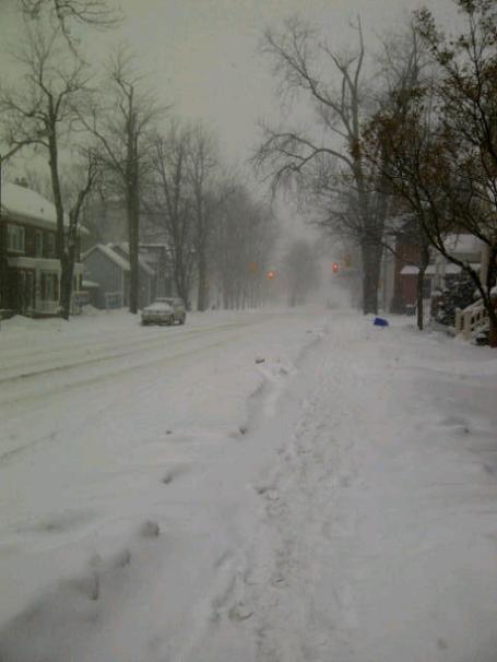 My snowy street on a Saturday morning.